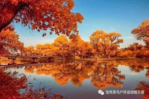 玩具战斗机大战