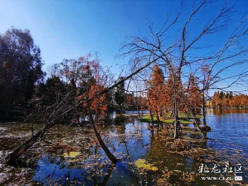 了解哈弗锁车鸣笛怎么设置?的知识星球,发现更多精彩内容!